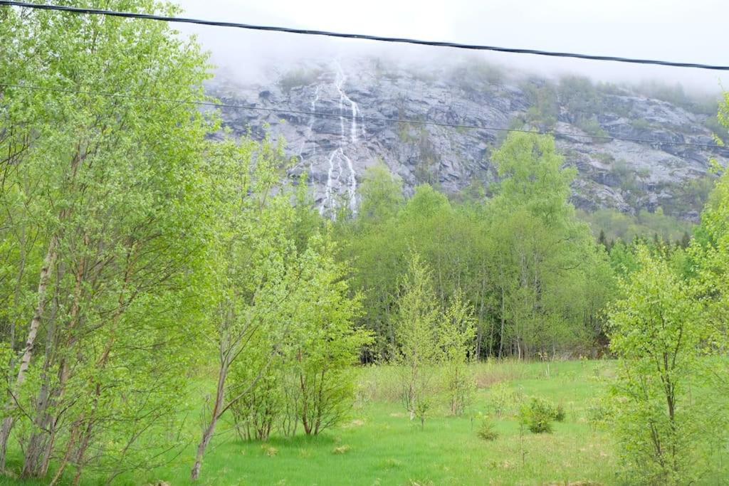 Apartment With Lake View In Jolster Årdal Exterior foto