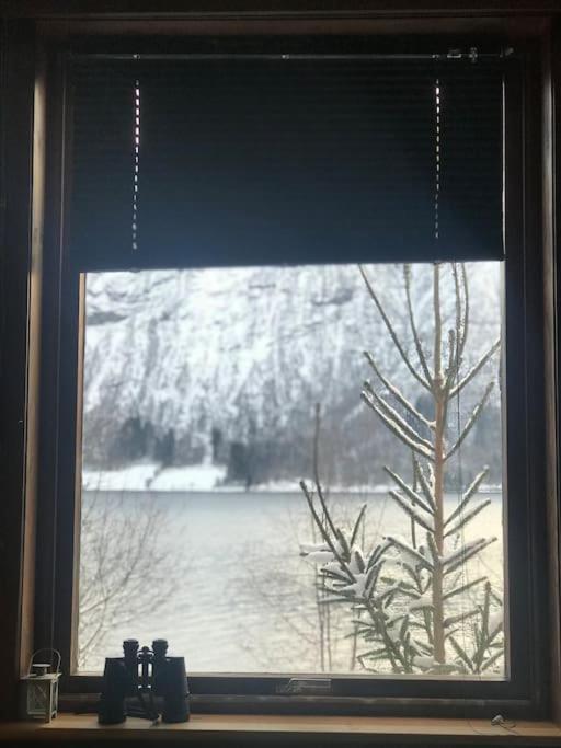 Apartment With Lake View In Jolster Årdal Exterior foto